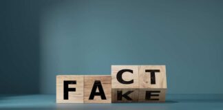 Wooden blocks displaying FACT and FAKE juxtaposed.