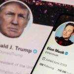 Donald Trump and Elon Musk Twitter profiles displayed.