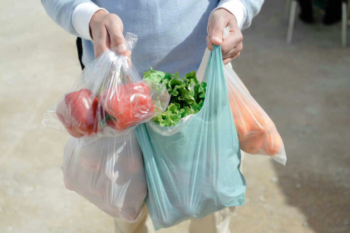 Person carrying grocery bags with vegetables and fruits
