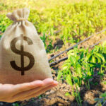 A hand holding a burlap money bag with a dollar sign in a green agricultural field
