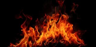 Bright flames dancing against a black background
