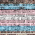 Transgender pride flag painted on a brick wall