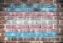 Transgender pride flag painted on a brick wall