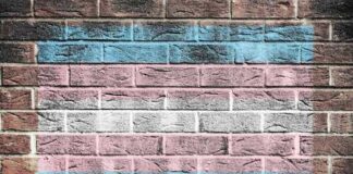Transgender pride flag painted on a brick wall