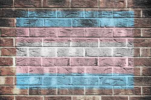 shutterstock_2206853033 (1).jpg Transgender pride flag painted on a brick wall