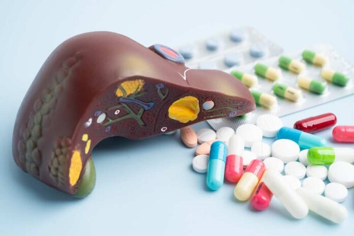 An anatomical model of a liver surrounded by various pills and medications