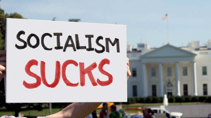Person holding a protest sign that reads 'SOCIALISM SUCKS' in front of the White House