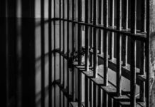 Black and white photo of jail cell bars.