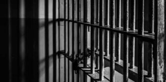 Black and white photo of jail cell bars.