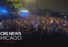 CHAOS in Lib City: Officers Run Down! Violence draws alarm this Memorial Day weekend in Chicago