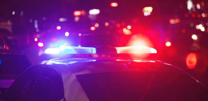 Police officer and vehicle with flashing lights.