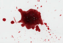 Deadly Horror Ends ‘Tiny Life’ Dream Red liquid splatter on a white background.