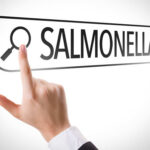 A hand pointing towards the word 'SALMONELLA' with a magnifying glass icon