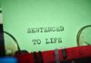 Typewriter typing on green paper