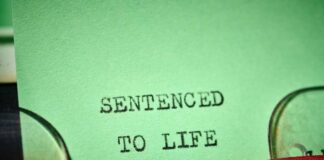 Typewriter typing on green paper