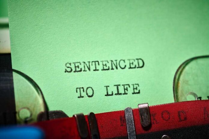 Sentenced,To,Life,Message,Concept,Written,With,A,Typewriter Typewriter typing on green paper
