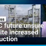 OPEC raises output but cartel's future remains unsure • FRANCE 24 English