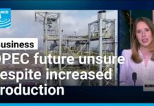 OPEC’s Illusion? Prices Drop, Taps Open OPEC raises output but cartel's future remains unsure • FRANCE 24 English