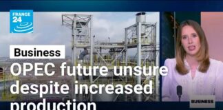 OPEC raises output but cartel's future remains unsure • FRANCE 24 English