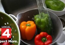 Salad Parasite Explodes – Thousands Sickened Michigan health official breaks down scope of fast-moving cyclosporiasis outbreak