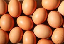 Egg Recall Panic Sweeps United States Brown eggs arranged closely together in bright light