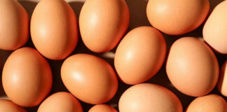 Brown eggs arranged closely together in bright light