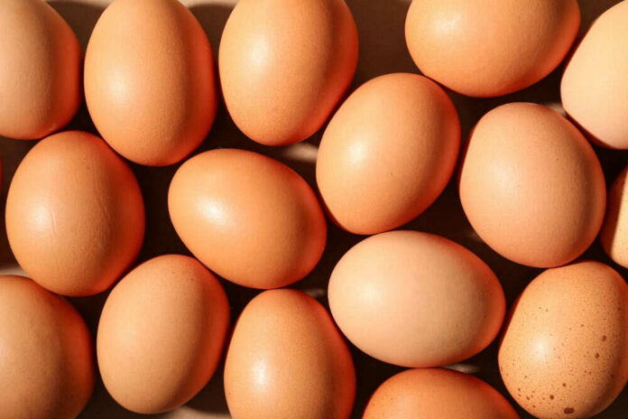 shutterstock_2478085249 Brown eggs arranged closely together in bright light