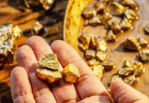 Hand holding raw gold nuggets