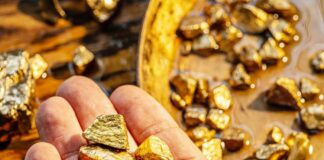 Hand holding raw gold nuggets