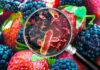 Listeria Alert: Deli Meat Recall Expands A laboratory technician holding a vial labeled 'Listeria monocytogenes' above a petri dish with green culture