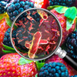 Listeria Alert: Deli Meat Recall Expands A laboratory technician holding a vial labeled 'Listeria monocytogenes' above a petri dish with green culture