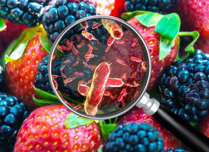 Contaminated,Food,Concept,And,Tainted,Meal,Poisoning,Symbol,Resulting,In A laboratory technician holding a vial labeled 'Listeria monocytogenes' above a petri dish with green culture