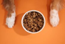 Dog Food Recall Spreads — 11 States On Alert Recall notice over grocery store shelves.