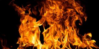 Bright flames dancing against a dark background