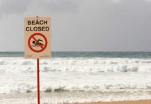 Rabid Beaver Rampage Shuts Popular Lake Sign indicating the beach is closed with a no swimming symbol