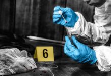 Was It Murder? Sea Stop Raises Chilling Questions Forensic investigator collecting a blood sample at a crime scene