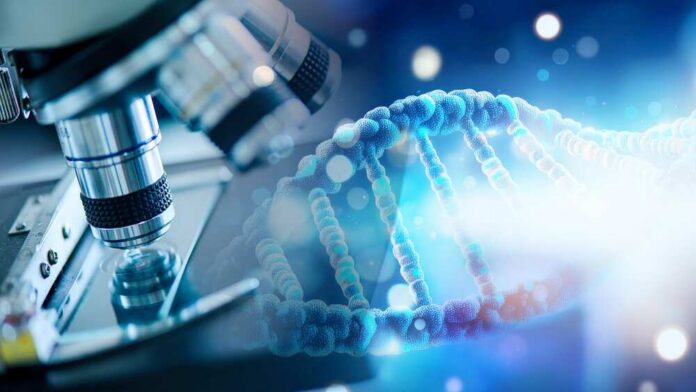 Laboratory,Research,,Scientist,Using,Microscope,To,Checking,Gene,Or,Dna DNA sample under microscope