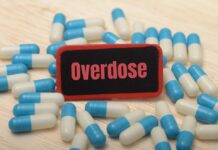 Hollywood Tragedy Sparks Overdose Probe