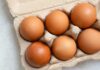 Egg Recall PANIC Hits – Many Sick, Hospitalized Brown eggs in a recycled paper carton