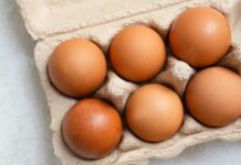 Egg Recall PANIC Hits – Many Sick, Hospitalized Brown eggs in a recycled paper carton