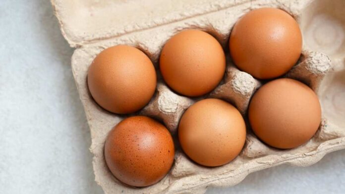 Brown eggs in a recycled paper carton