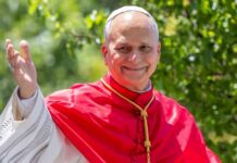 Pope Challenges THIS ‘False Compassion’ Catholic cardinal smiling and waving outdoors