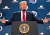 Trump Bulldozes Icon President Donald Trump