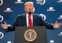Trump Bulldozes Icon President Donald Trump